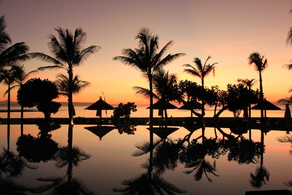 Palm trees in the evening on Bali